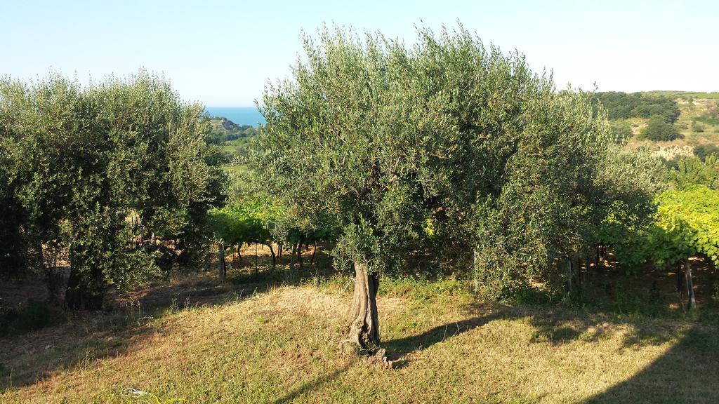 B&B Stella Dell'Adriatico Ortona Luaran gambar