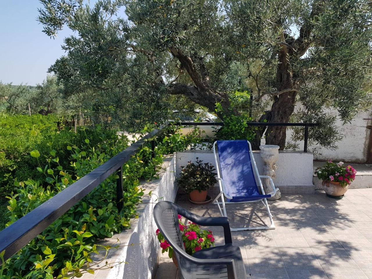 B&B Stella Dell'Adriatico Ortona Luaran gambar